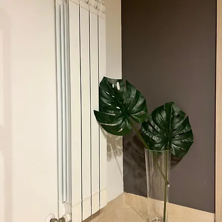 Apartman Ninni's
